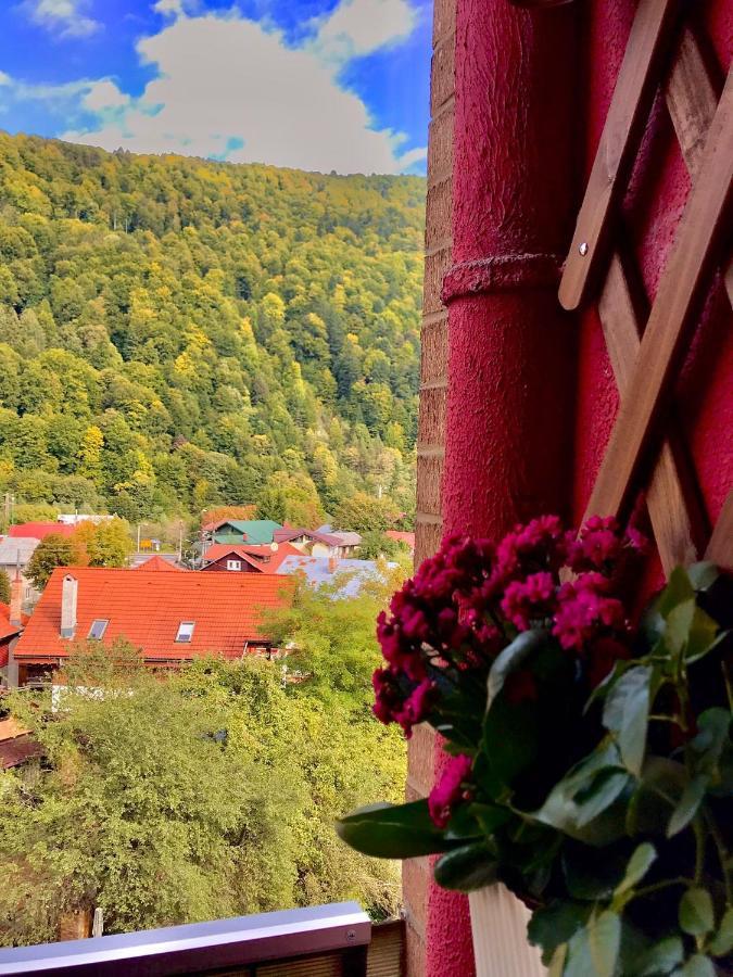 Sweet Pink By Miro Apartment Sinaia Dış mekan fotoğraf