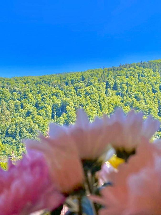 Sweet Pink By Miro Apartment Sinaia Dış mekan fotoğraf