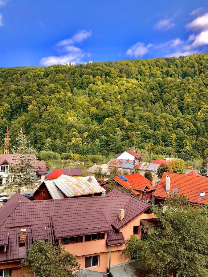 Sweet Pink By Miro Apartment Sinaia Dış mekan fotoğraf